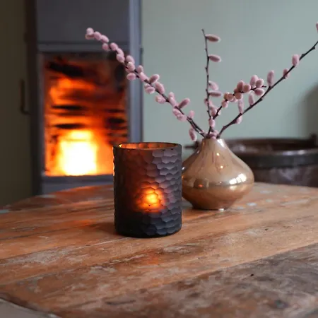 De Brittenburg 4-persoons, Finse Sauna, Hottub, Sunshower, Grote Zonnige Omheinde Tuin, Wifi En Huisdier Vriendelijk Lievelde