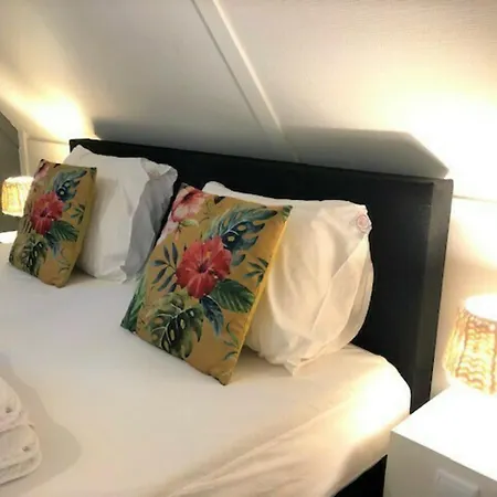 Holiday home De Brittenburg 4-persoons, Finse Sauna, Hottub, Sunshower, Grote Zonnige Omheinde Tuin, Wifi En Huisdier Vriendelijk *