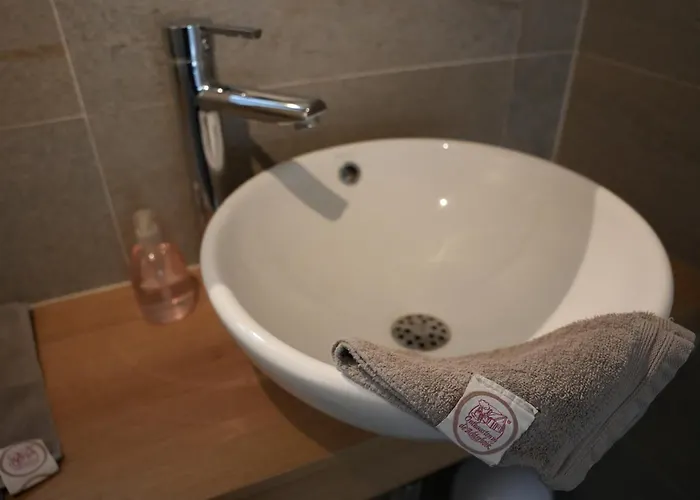 De Brittenburg 4-persoons, Finse Sauna, Hottub, Sunshower, Grote Zonnige Omheinde Tuin, Wifi En Huisdier Vriendelijk * Lievelde