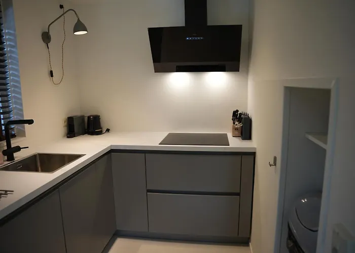 De Brittenburg 4-persoons, Finse Sauna, Hottub, Sunshower, Grote Zonnige Omheinde Tuin, Wifi En Huisdier Vriendelijk *