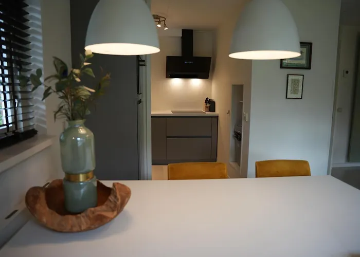 De Brittenburg 4-persoons, Finse Sauna, Hottub, Sunshower, Grote Zonnige Omheinde Tuin, Wifi En Huisdier Vriendelijk Lievelde