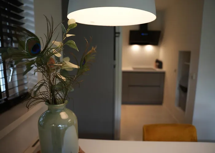 펜션 De Brittenburg 4-persoons, Finse Sauna, Hottub, Sunshower, Grote Zonnige Omheinde Tuin, Wifi En Huisdier Vriendelijk 리벨드